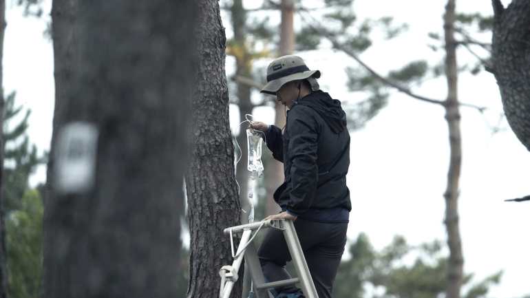 Know Thyself, or: How I Learned to Stop Worrying and Love Fordism: Jeamin Cha at Kadist San Francisco