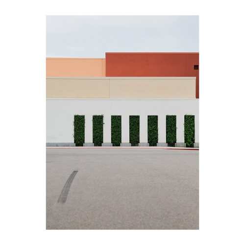 Love Letter to Rachelle Mendez