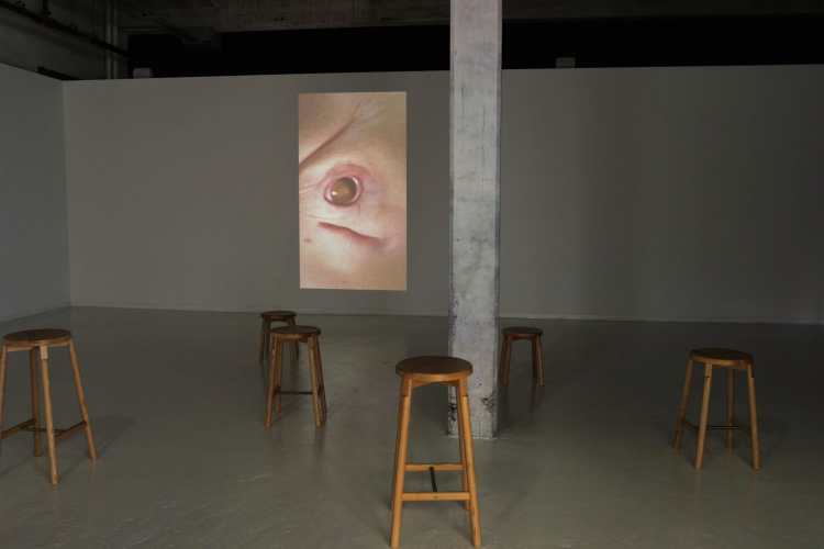 FROM THE ARCHIVES | Going Through the Motions: Speculations on Birth in Patricia Piccinini’s The Awakening