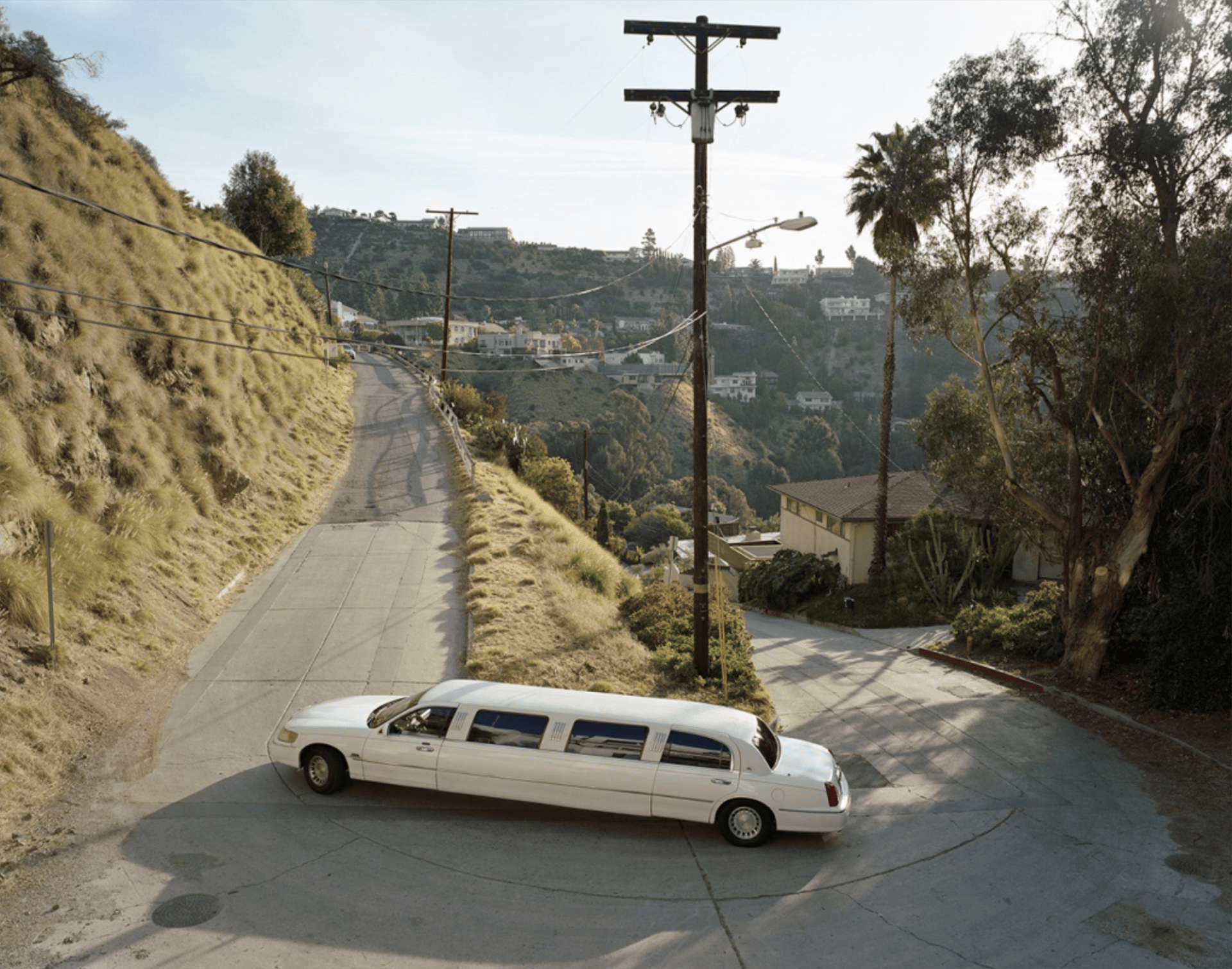 Love Letter to Torbjørn Rødland