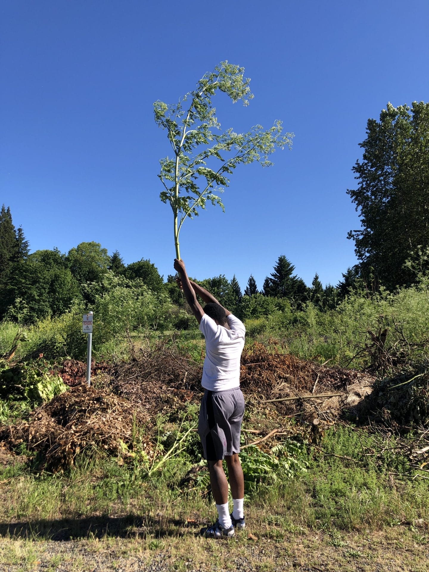 Love Letter to Lawrence Oliver iii