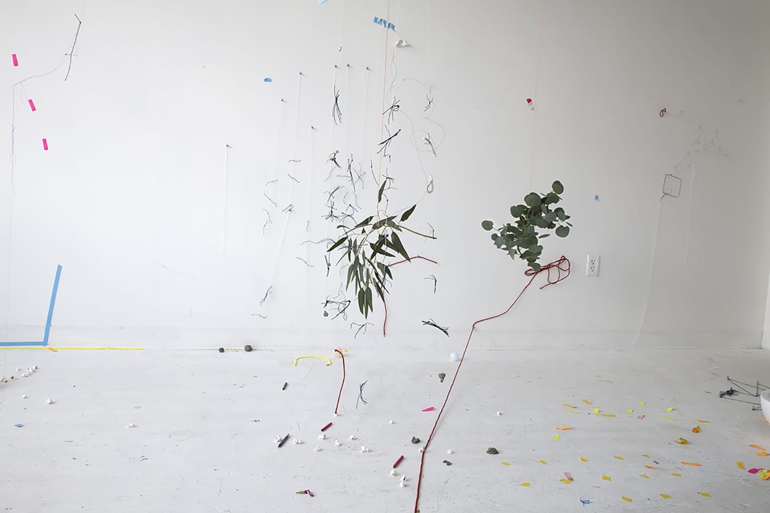 Q&A with Ellen Garvens