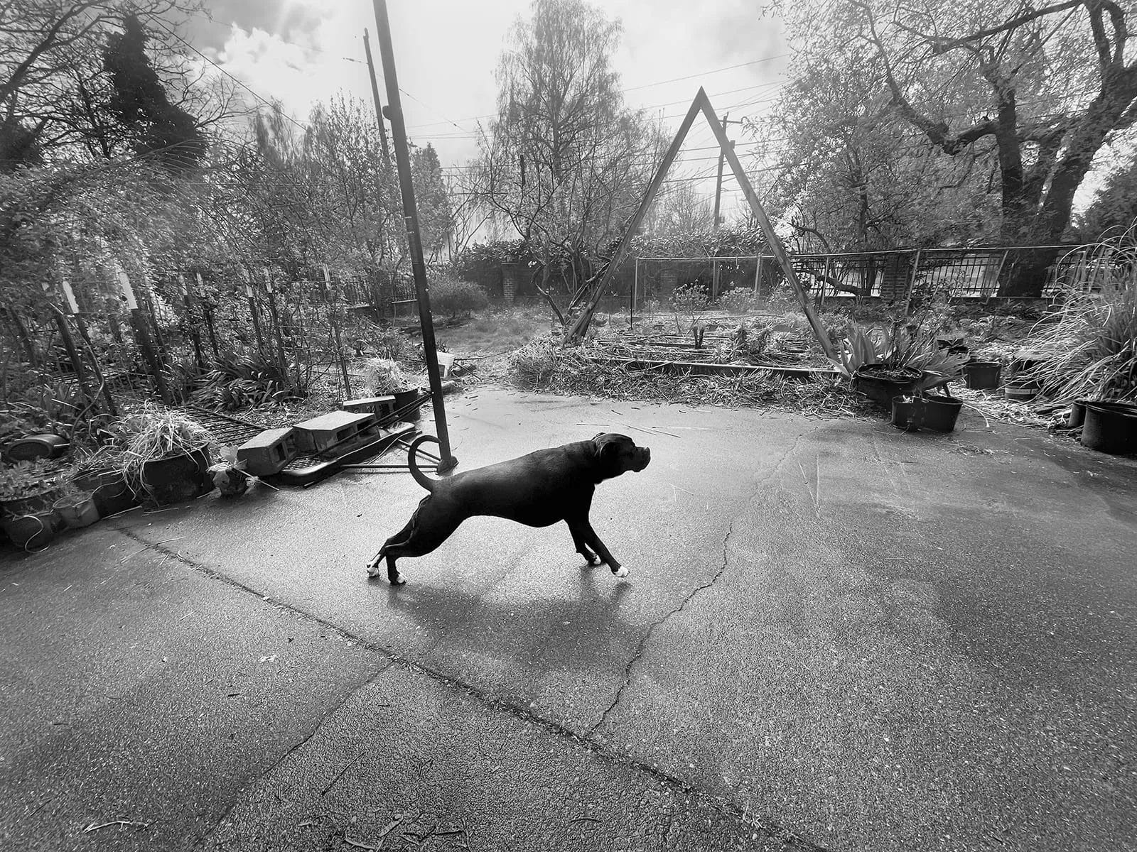 Washington picks from Sharon Arnold