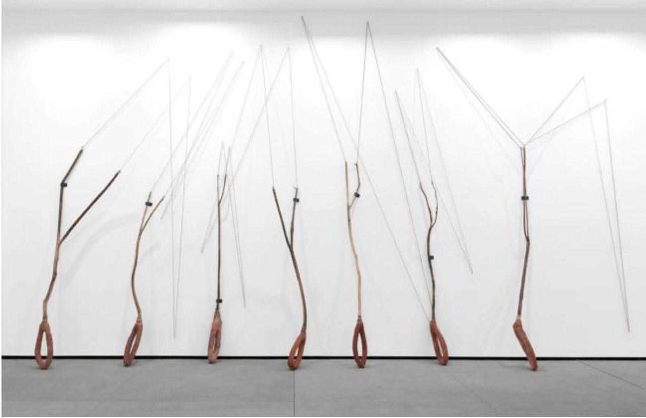 Northern California picks from Vanessa Perez Winder