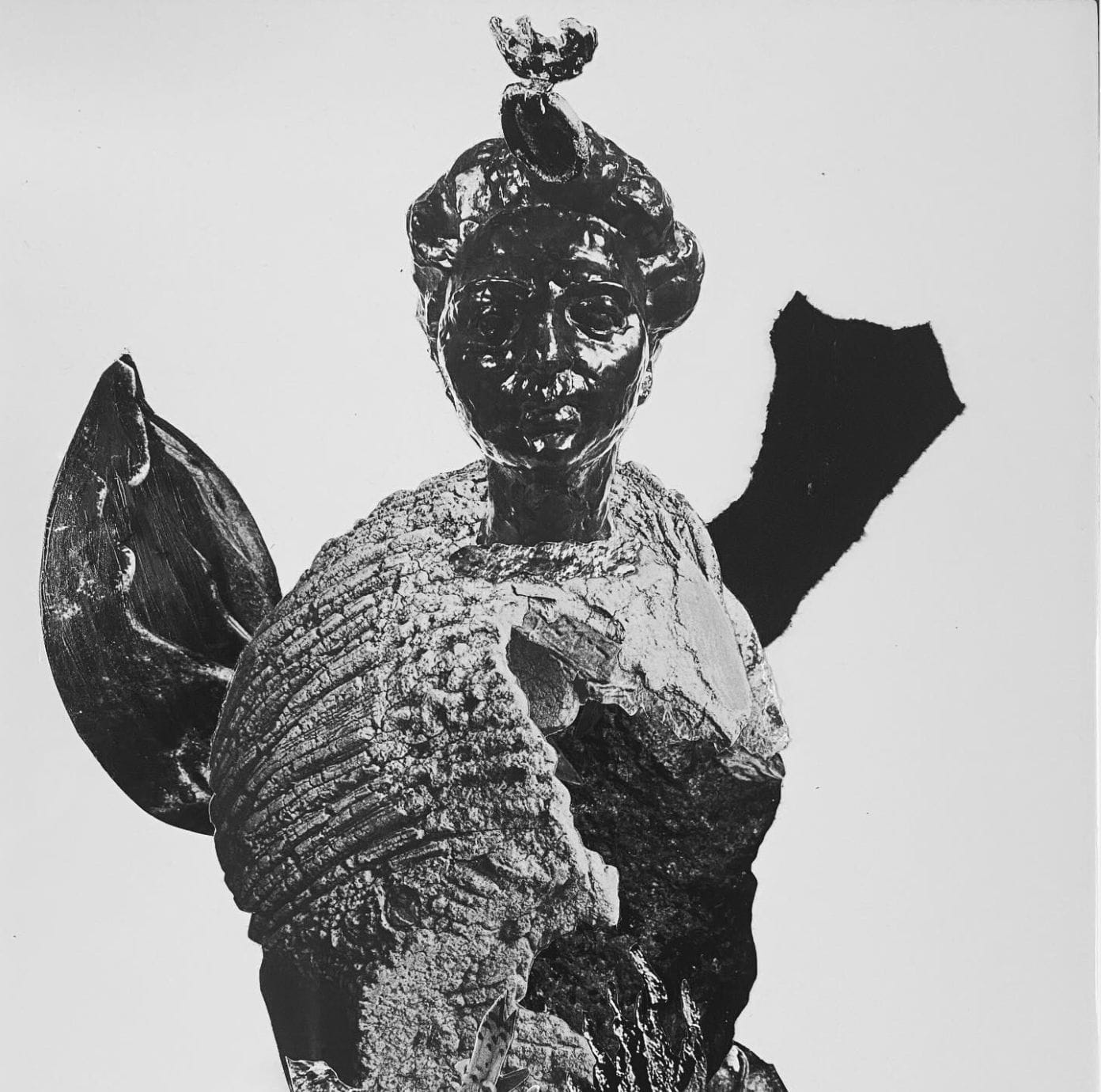 Oregon picks from Kaya Noteboom