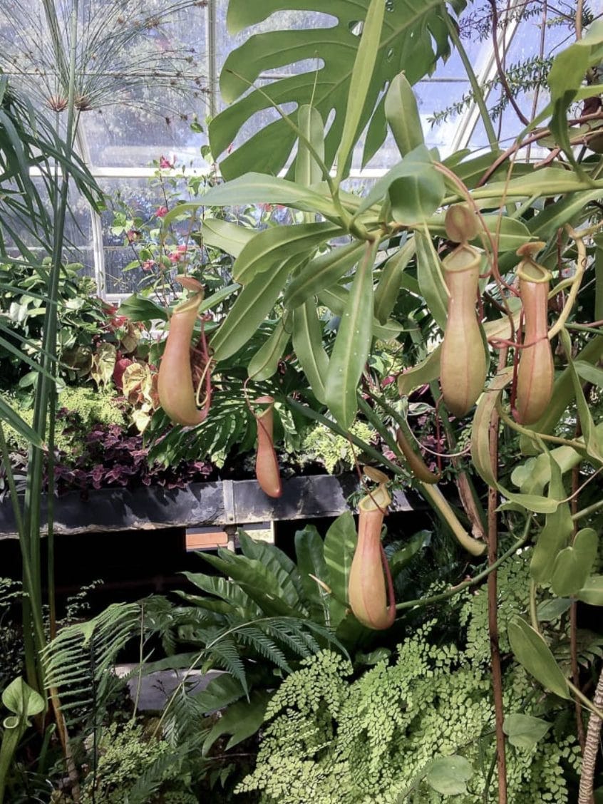 Washington art picks from Fox Whitney