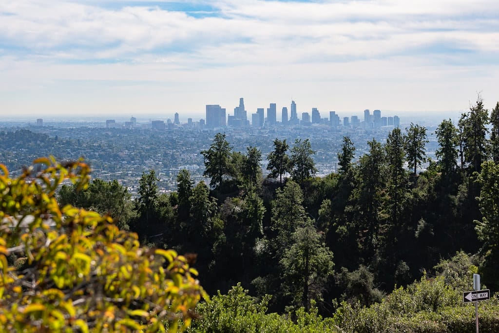 Variable West receives $45,000 grant from Critical Minded to support independent arts journalism in 2025