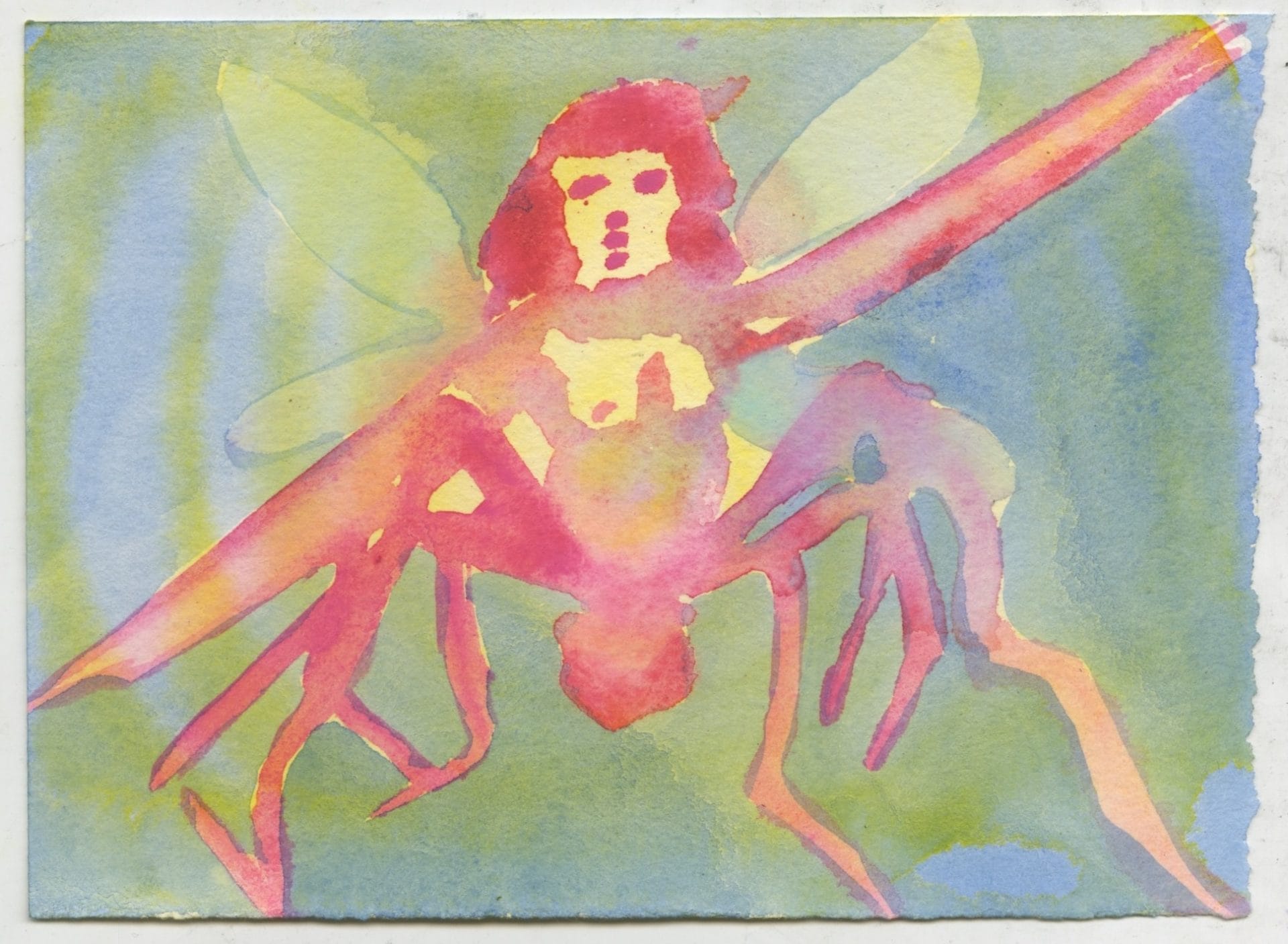 An echo chamber called Earth: Laura Camila Medina interviewed